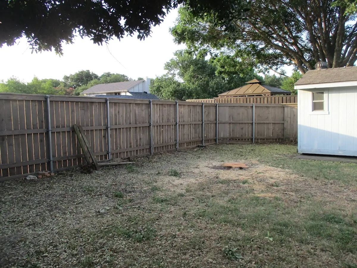 Cleared yard after professional tree removal in Santa Claus